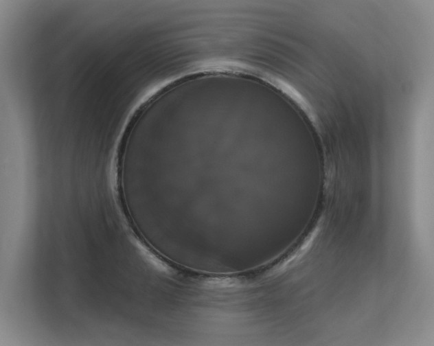 X0000111521037200907211220