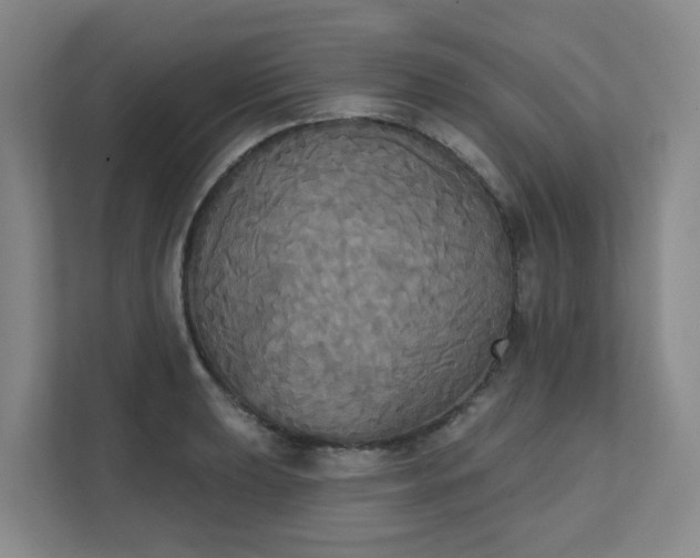 X0000111521039200907211220