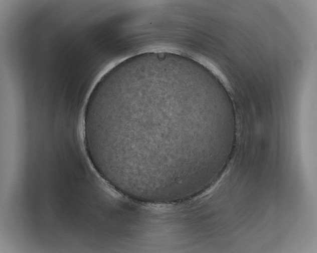 X0000111521040200907211220