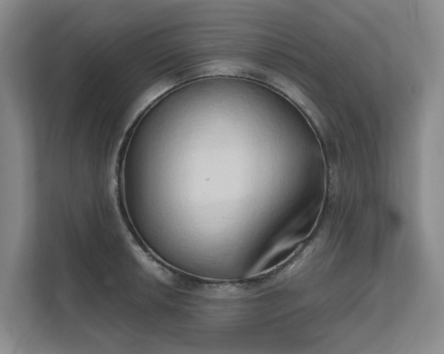 X0000111521042200907211220