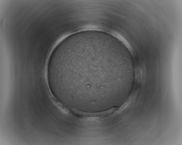 X0000111521043200907211220