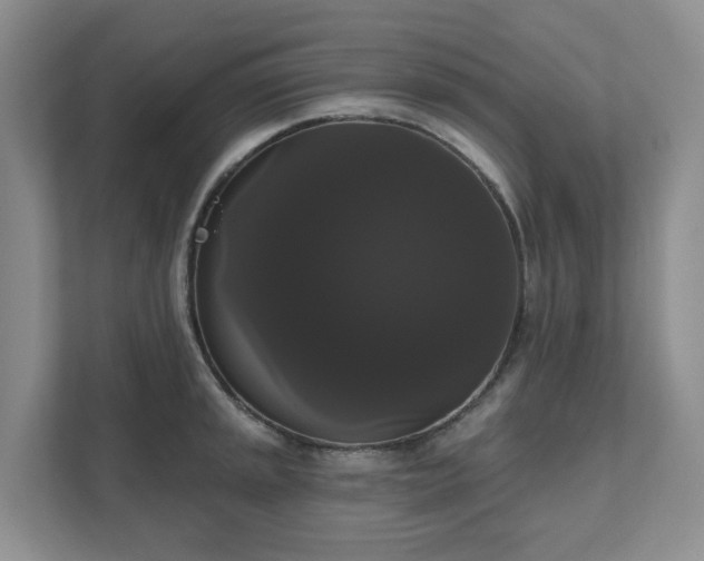 X0000111521045200907211220