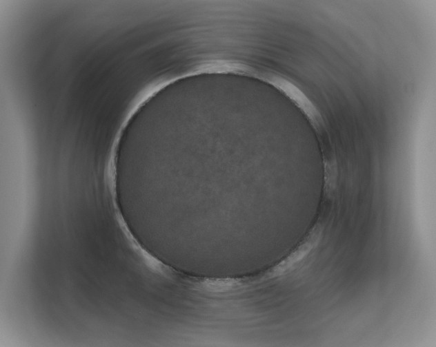 X0000111521046200907211220