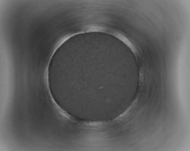 X0000111521047200907211220