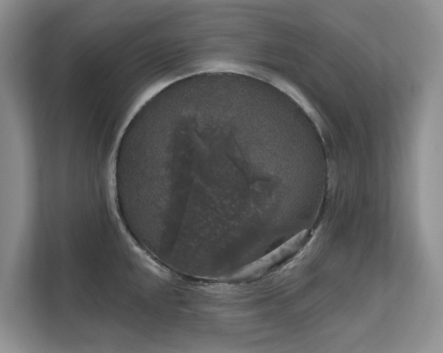 X0000111521048200907211220