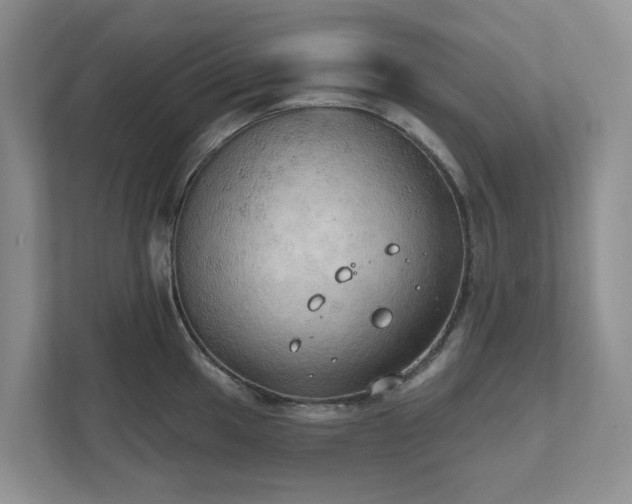 X0000111521049200907211220