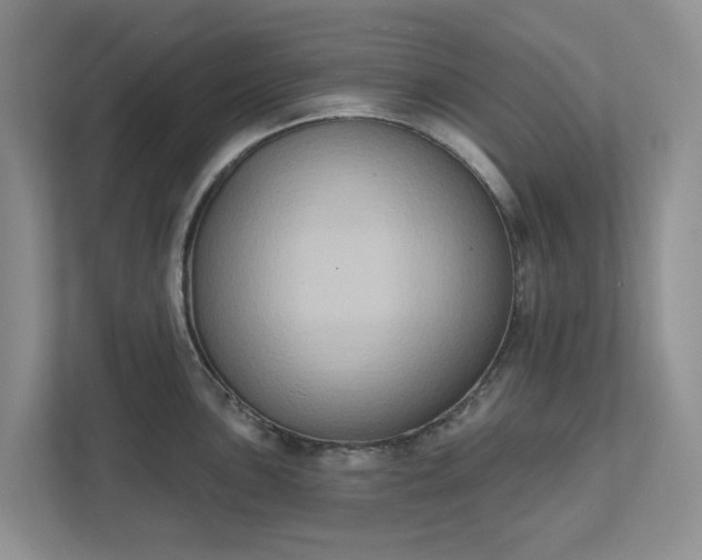 X0000111521051200907211220