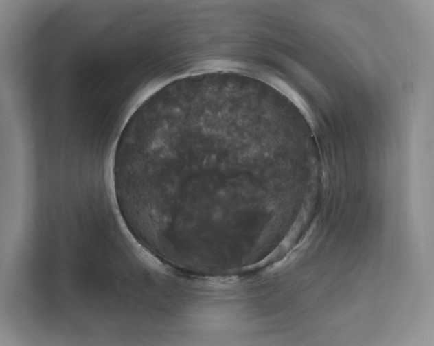 X0000111521055200907211220