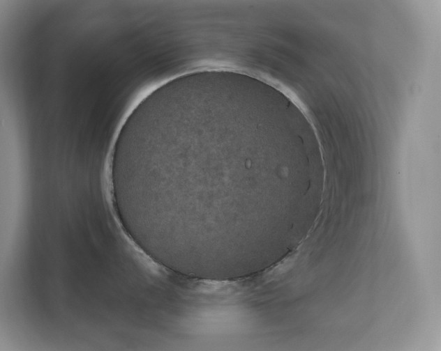 X0000111521056200907211220