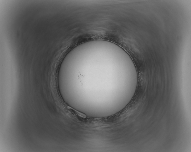X0000111521057200907211219