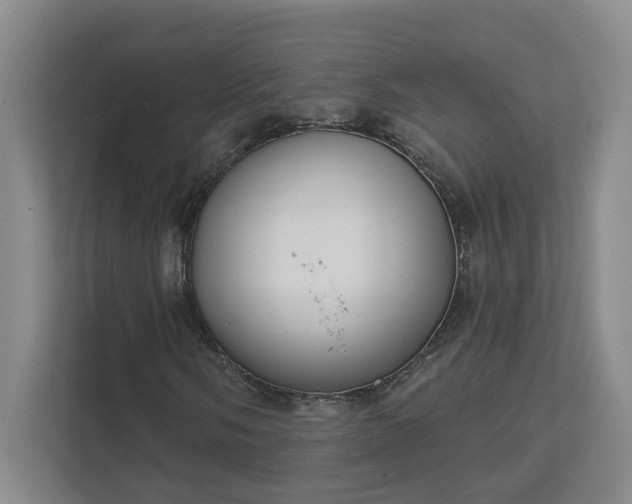 X0000111521058200907211219