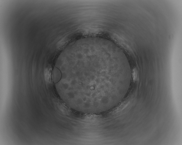 X0000111521059200907211219