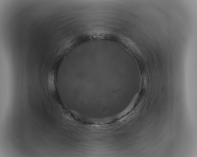 X0000111521060200907211219