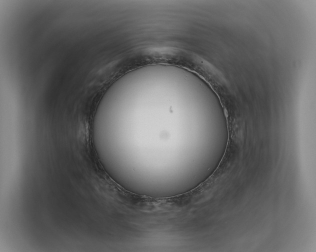 X0000111521061200907211219