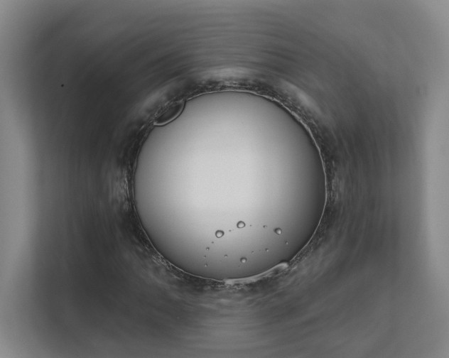 X0000111521062200907211219