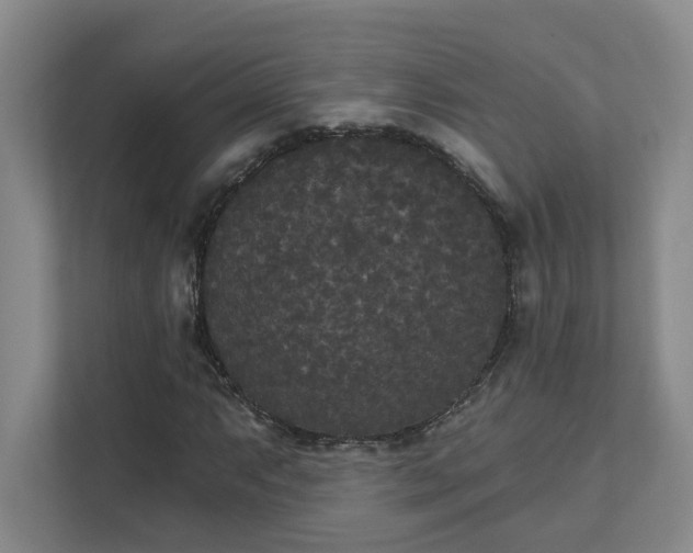 X0000111521063200907211219