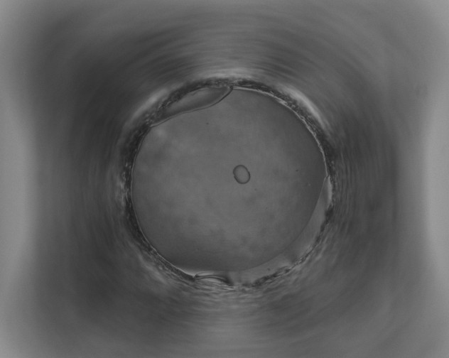 X0000111521064200907211219