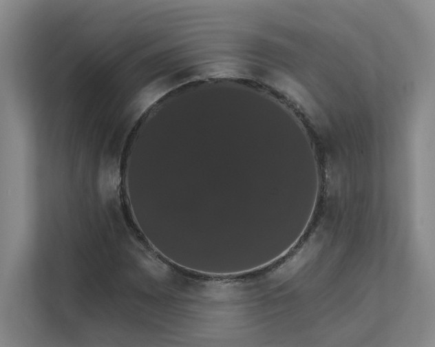 X0000111521065200907211219
