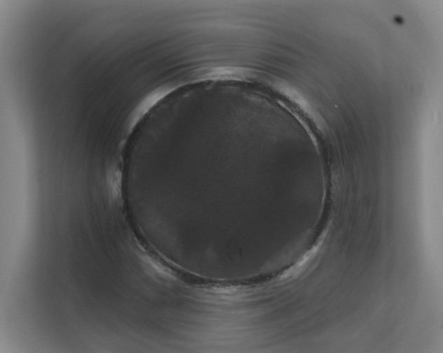 X0000111521066200907211219