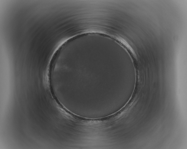 X0000111521068200907211219
