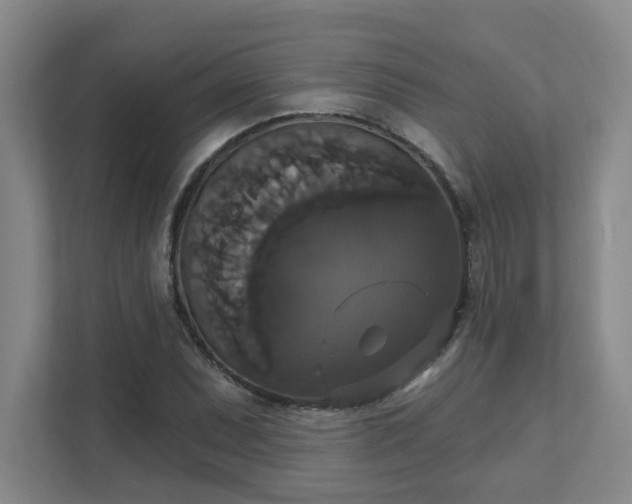 X0000111521071200907211219