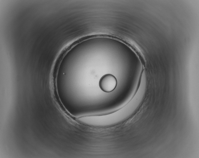 X0000111521072200907211219