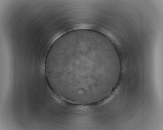X0000111521073200907211219