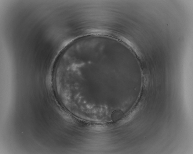 X0000111521074200907211219