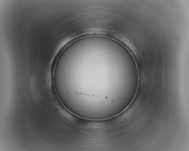 X0000111521075200907211219