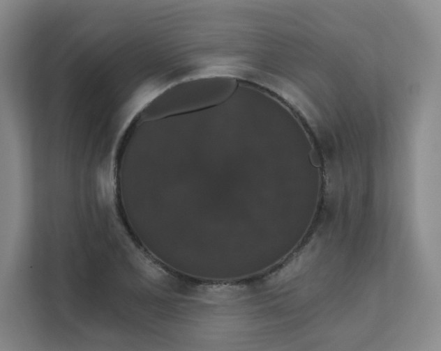 X0000111521077200907211219