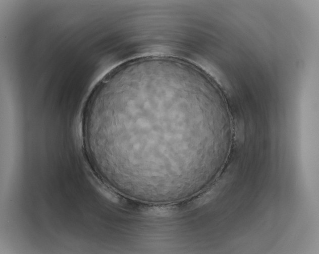 X0000111521078200907211219