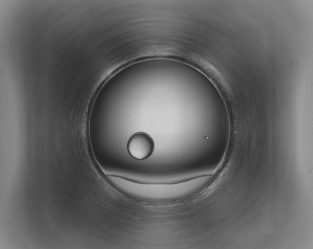 X0000111521081200907211219