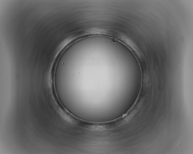 X0000111521082200907211219