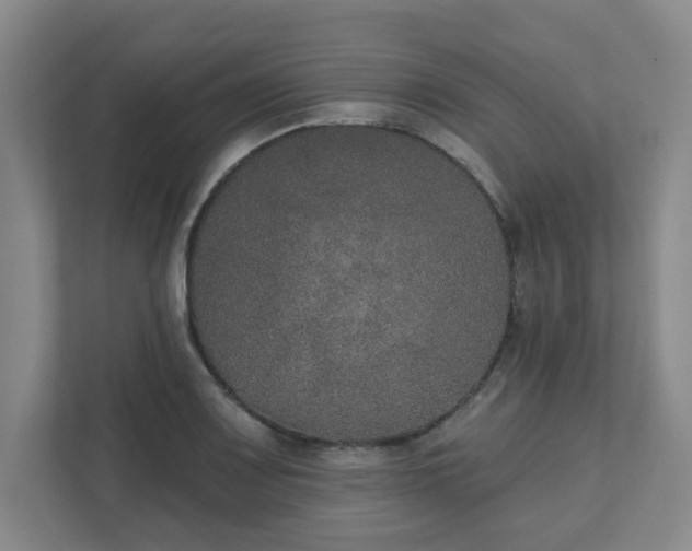 X0000111521083200907211219