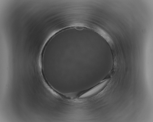 X0000111521084200907211219