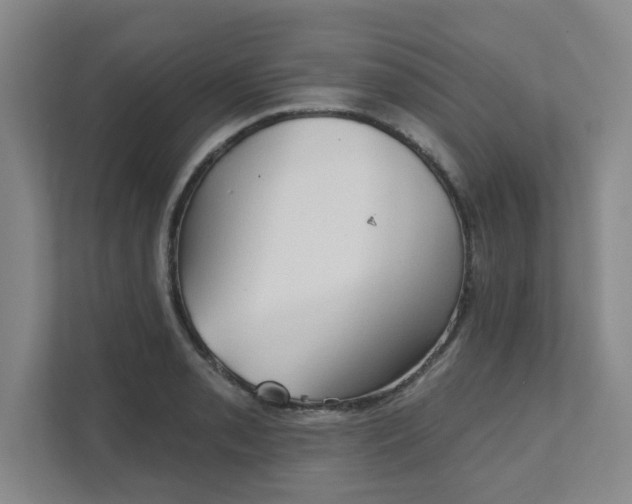 X0000111521085200907211219