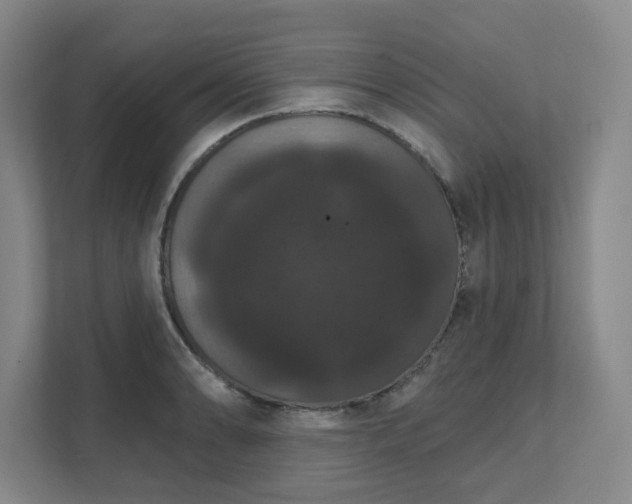 X0000111521086200907211219