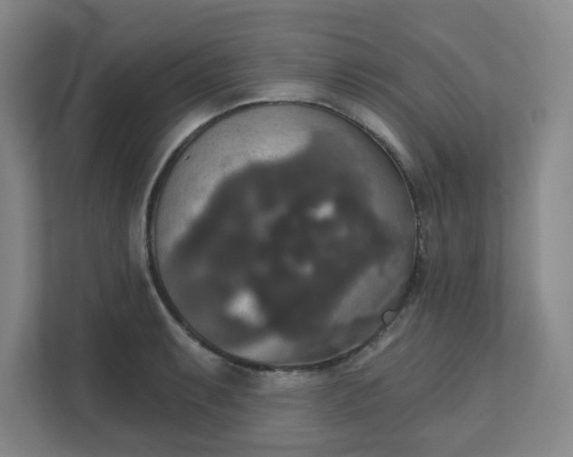 X0000111521087200907211219