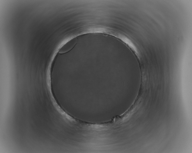 X0000111521088200907211219