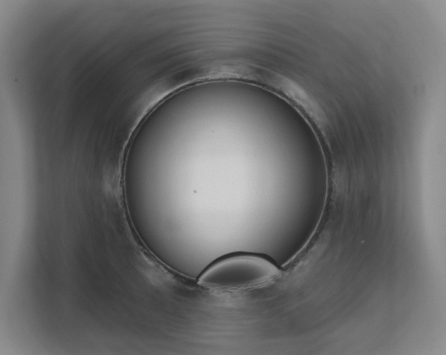 X0000111521089200907211219