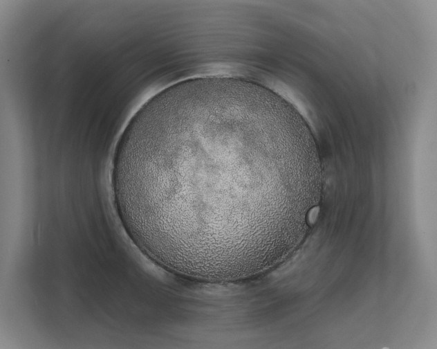 X0000111521091200907211219