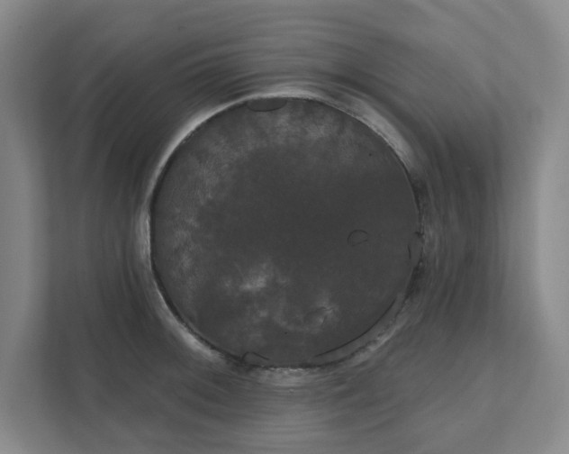 X0000111521092200907211219