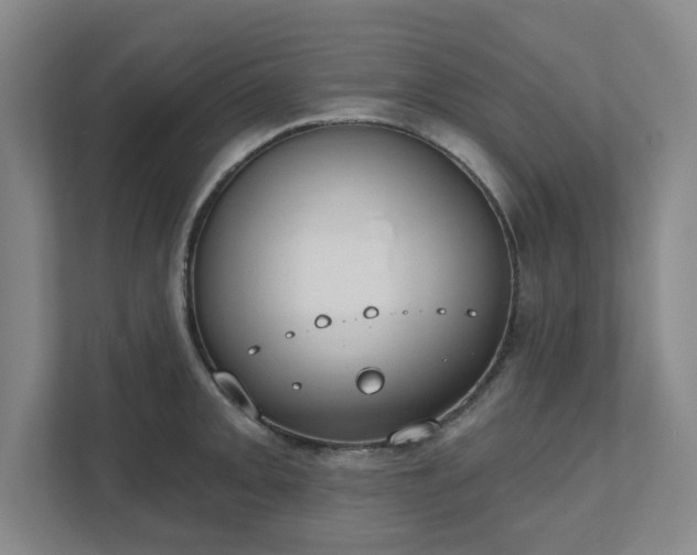 X0000111521093200907211219