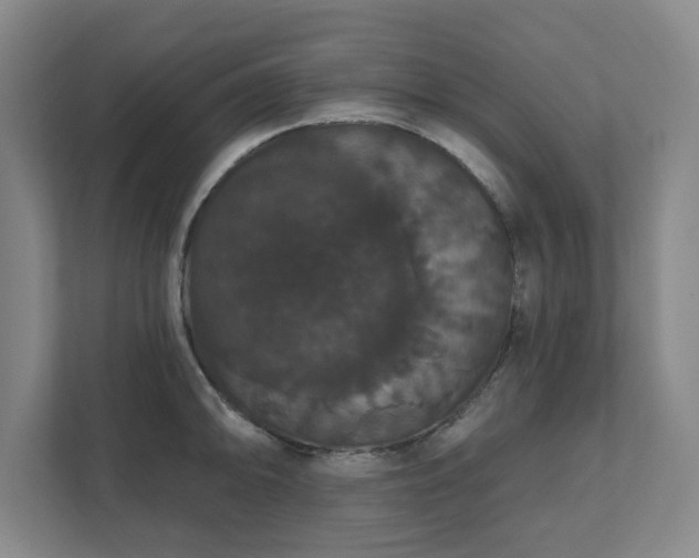 X0000111521094200907211219