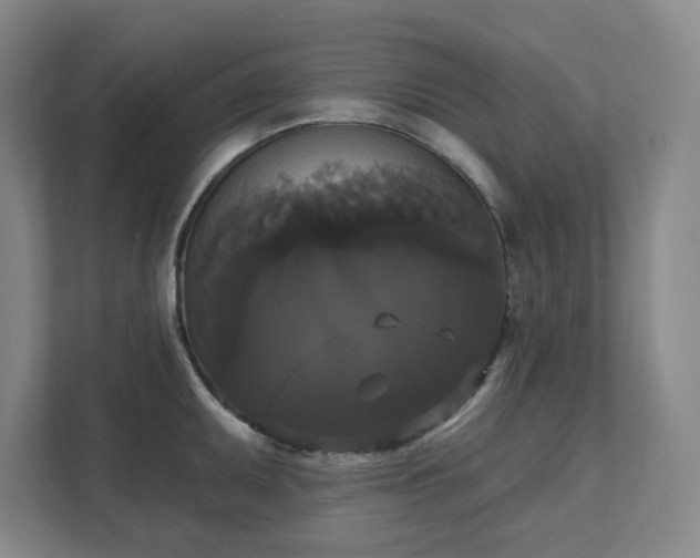 X0000111521095200907211219