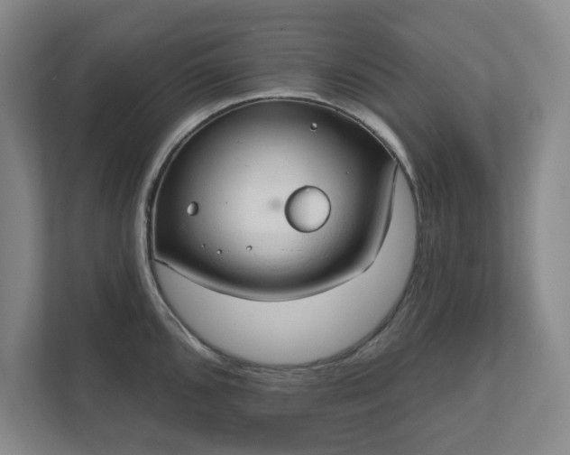 X0000111521096200907211219