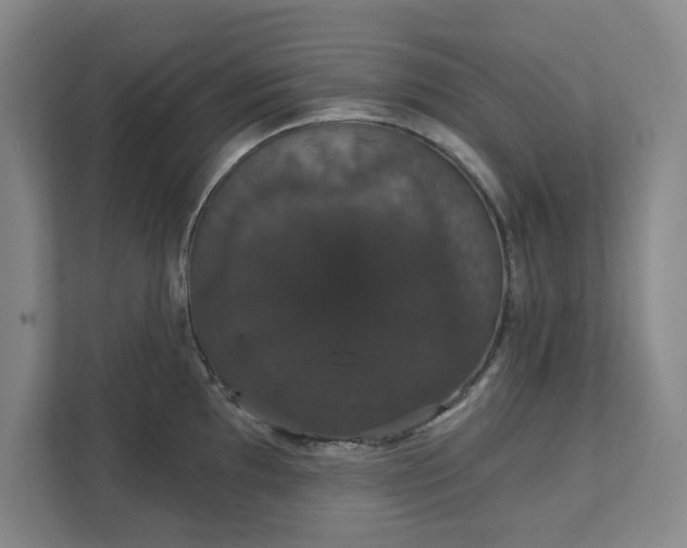 X0000111521097200907211219