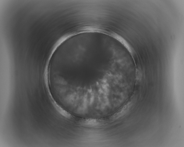 X0000111521098200907211219
