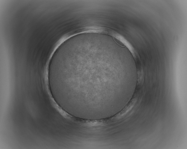 X0000111521099200907211219