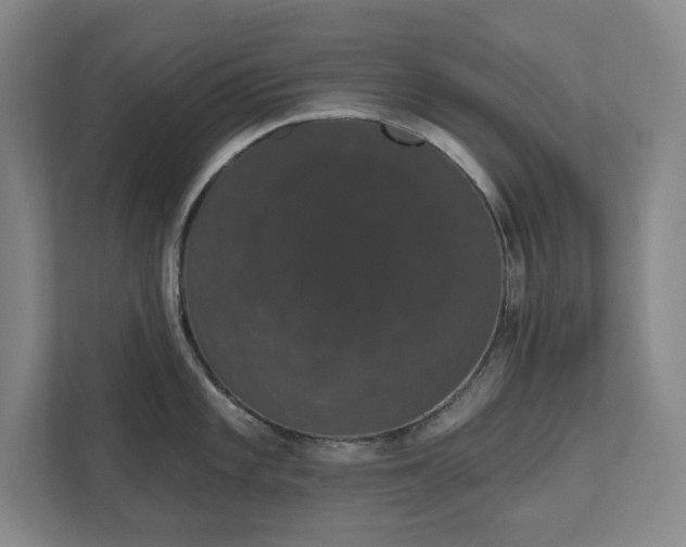 X0000111521101200907211219